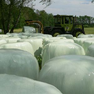 Rundballen mit Schutzfolie auf einem Feld