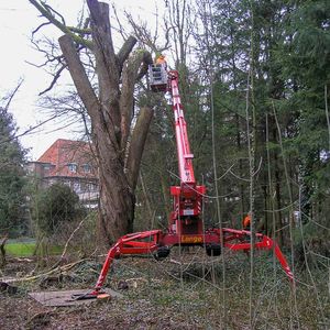 Arbeitsbühne bei einer Baumentfernung
