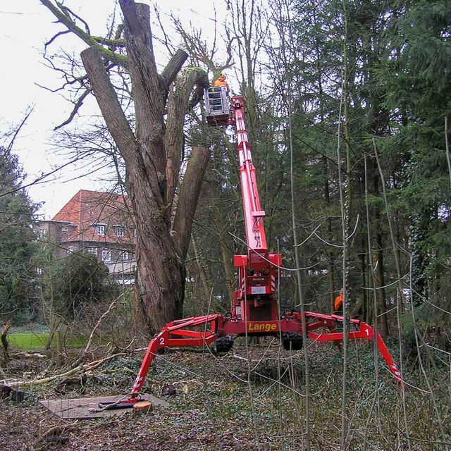 Arbeitsbühne bei einer Baumentfernung