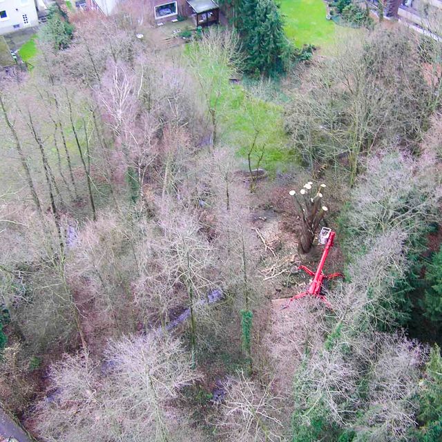 Arbeitsbühne bei der Baumentfernung aus der Vogelperspektive