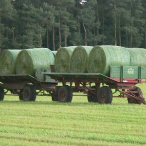 Rundballen auf einem Anhänger