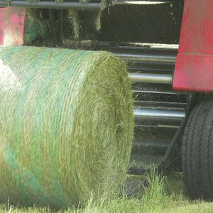 Rundballenpresse im Einsatz